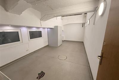 Spatii pentru birouri in Sema Parc - 13