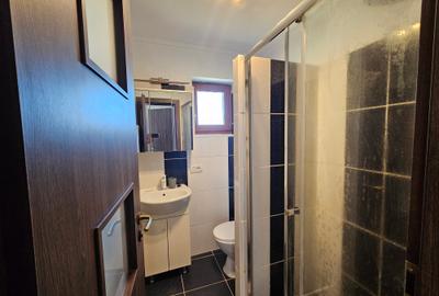 Duplex P+M, 5 camere, 3 băi, 3 balcoane, perete dublu, panouri, Dumbrăvița - 51