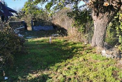 Teren de vanzare in Nifon Tulcea - 3