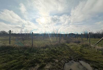 Teren de vanzare, zona dealuri Episcopia, Oradea - 1