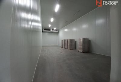 Hala industriala 572 mp, teren 1.615 mp - Zona Sud Timisoara - 7