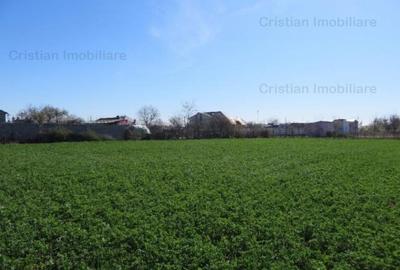 Teren constructii zona Lacu Sarat,  suprafata 3393 mp, 22 euro mp - 1