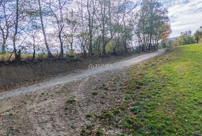 Teren intravilan în Zărnești, zona Tohanita, cu pădurice și parau curg - 12