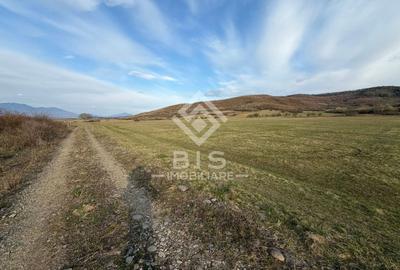 Teren de vanzare extravilan 1000mp - Aerodrom - 1