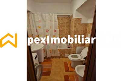 Apartament 2 camere de inchiriat Mosilor București | ApexImobiliare.ro - 7