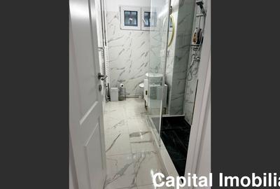 Apartament de vis – complet renovat, mobilat, etaj 2/4 - 8