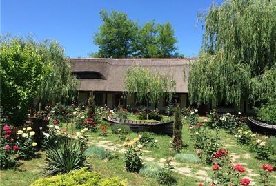 Pensiune agro-turistica in paradisul Deltei Dunarii - 1