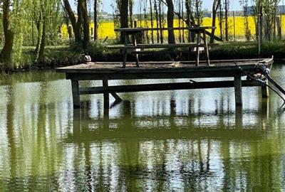 Vila Duplex cu lac si piscina Giarmata Vii  cu 5880 mp de teren - ID V5269 - 18