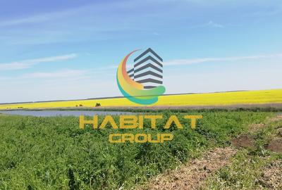 Teren 495 mp | Malul lacului | Rate 24 luni | Frumusani - 1