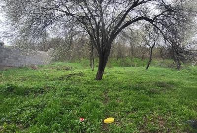 OPORTUNITATE!!! CASA DE VANZARE IN CÂLNIC LA 35.000 EURO - 9