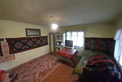 Casa traditionala cu anexe si gradina,Zona Nasaud - 3