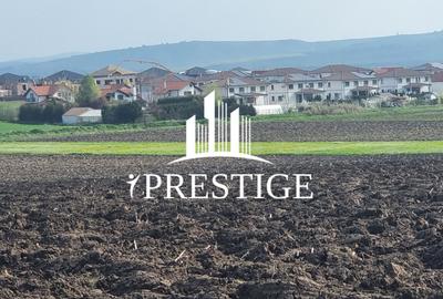 TEREN DE VÂNZARE ȘURA MICĂ 10.000 MP | 2 FRONTURI STRADALE, INVESTIȚIE - 10
