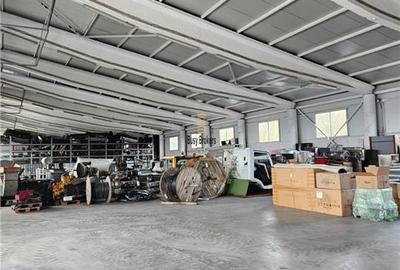Spatiu Industrial - 1000 mp - Depozitare - Distributie - 5