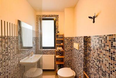 Apartament de inchiriat 3 camere Herastrau - 11