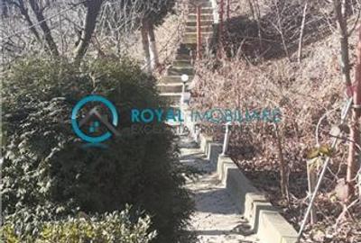 Royal Imobiliare - Vanzare Casa de Vacanta zona Pacureti - 5