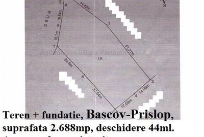 Teren Bascov, diverse suprafete - 4