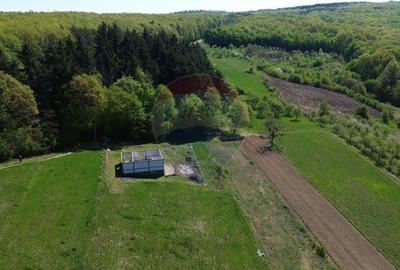 Proprietate de vanzare langa liziera pădurii Coas - 7