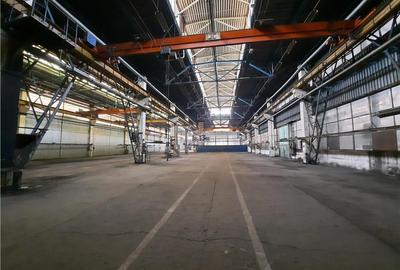 Spatiu Industrial - 4600 mp - Productie - Depozitare - Distributie - 7