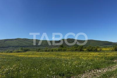 Teren intravilan pretabil cabana cu vedere la munti in Poplaca - 1