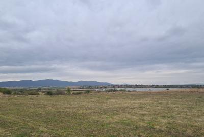 Oază de Natură și Potențial: Teren de 48.100 mp lângă Delta din Carpați - 14