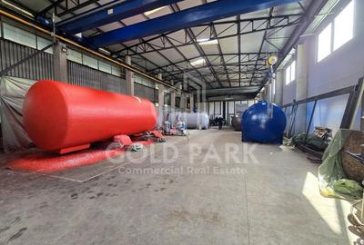 Spatiu Industrial - Campia Turzii - Pod Rulant / Acces TIR - 2