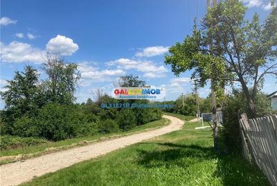 Răchitele de Jos,Arges,2 case 100 mp, teren 2000 mp, - 20