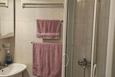 Studio Cismigiu, 24 mp, bloc solid, ideal inchiriere - 5