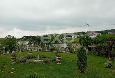De vanzare vila exceptionala in stil Neo Romanesc cu vedere la lac si padure - 6
