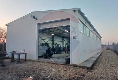 Hala de vanzare in Crevedia 240 mp utili teren 2000 mp acces TIR - 1