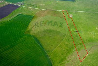 5 hectare teren agricol cu front la șosea, zona Sântana - 5