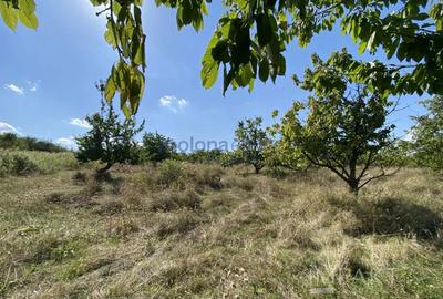 Terenuri de vanzare intr-o locatie exclusivista din Cluj - 1