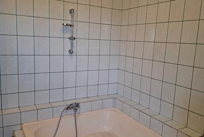 Langa Parc Padurice, pentru locuit sau afacere - 10