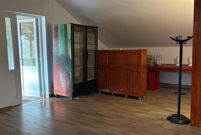 De vanzare spatiu comercial cu teren de 80 arii, Santioana, Jud Mures - 29