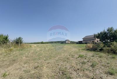Teren 2,841mp Apateu / Strada Principala langa Biserica Ortodoxa - 15