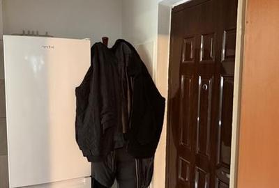 Apartament 2 camere Dristor - 5