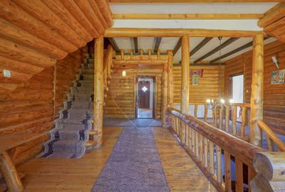 CASA INCONJURATA DE NATURA | DIN BUSTENI | 8 CAMERE | TIMISUL DE JOS - 21