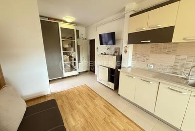 Apartament 1 camera 50mp, Bucium - Visan, CT + AC, fara risc - 1