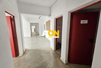 Spatiu industrial pentru productie sau depozitare, 1600 mp, Sebes - 14