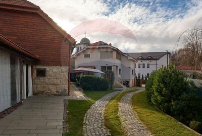 Investitie turistica langa Cluj – pensiune cu crama - 22