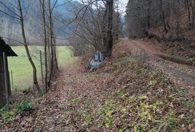 Teren Straja – Pangarati 3560 m, zona de Pensiune - 7