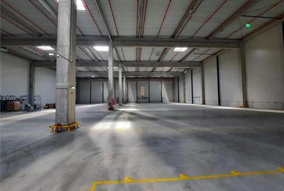 Spatiu Industrial - 3000 mp - Logistica - Productie - Depozitare - 10