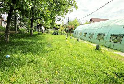 CASA 5 CAMERE 145 MP TEREN 660 MP DAMBUL ROTUND - 27