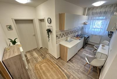 1 Cam-Buziasului-5 Min Spitalul Judetean-Aer conditionat-Mobilat- 35 MP- 60.000 - 7