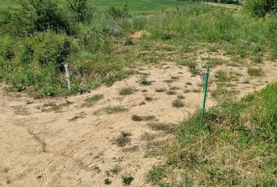 REPREZENATRE EXCLUSIVĂ! Teren intravilan construcții, zonă superbă, Livezeni. - 5
