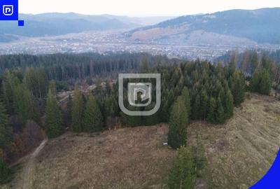 Teren situat in Frasin | BUCOVINA - 3