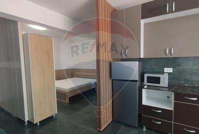 Apartament tip studio de vanzare Ultracentral Promenada Crisului - 1