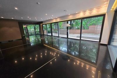 FLOREASCA | Spatiu comercial premium | Vitrina stradala Terasa 100 m - 5