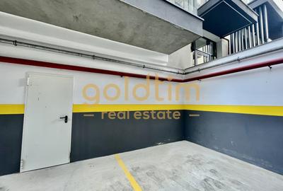 FIRST RENT/ IANCU NICOLAIE/ PRIVELISTE LAC/ PARCARE/ DRESSING - 5