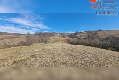 Teren de exceptie 3,1 ha intravilan | Panorama, utilitati, acces dublu | Sard - 5