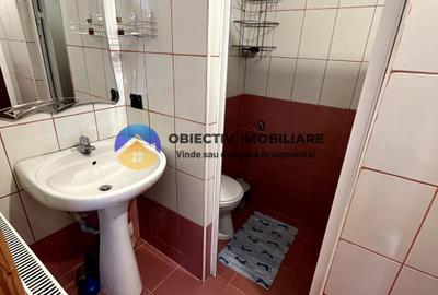 Pensiune de vanzare Dva Rosie Neamt la DN - 8